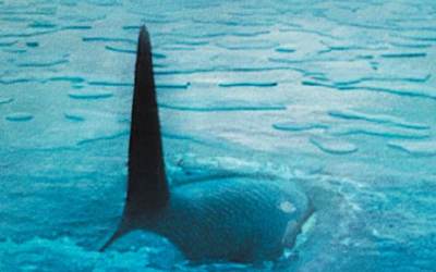 Et on reparle de La Cité de l&rsquo;orque de Sam J. Miller…