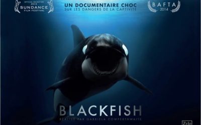 Blackfish, Gabriela Cowperthwaite (2013)