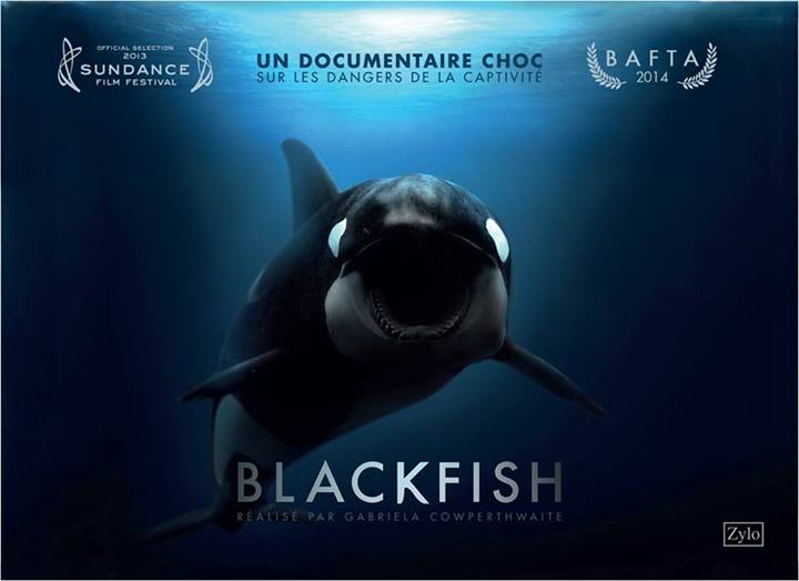 Blackfish, Gabriela Cowperthwaite (2013)