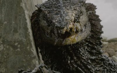 Tom Sweterlitsch, l&rsquo;auteur de « Terminus », a contribué en tant que scénariste à cinq des courts et moyens métrages réalisés par Neill Blomkamp pour Oats Studios – aujourd&rsquo;hui nous vous proposons de découvrir « Rakka » avec l&rsquo;immense Sigourney Weaver…