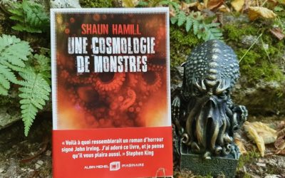 J-4 : Le roman de Shaun Hamill est le genre d’oeuvre qui te fait dire que “ça y’est, je tiens le meilleur livre de l’année. Celui qui me correspond vraiment. Celui qui arrive à me parler”.