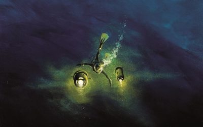 Les Chants de Nüying d’Émilie Querbalec