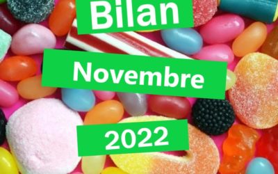 Bilan novembre 2022