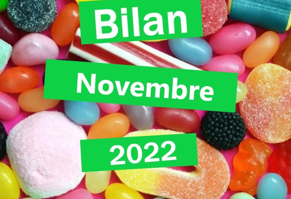 Bilan novembre 2022