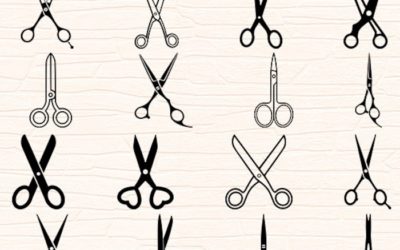 Connaissez-vous scIAssors ?