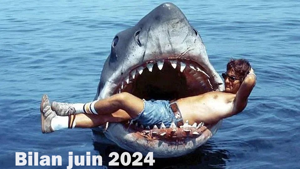 Bilan juin 2024