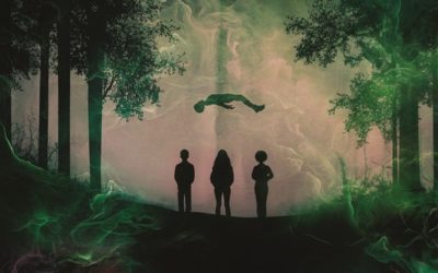 Première critique de La Dissonance de Shaun Hamill